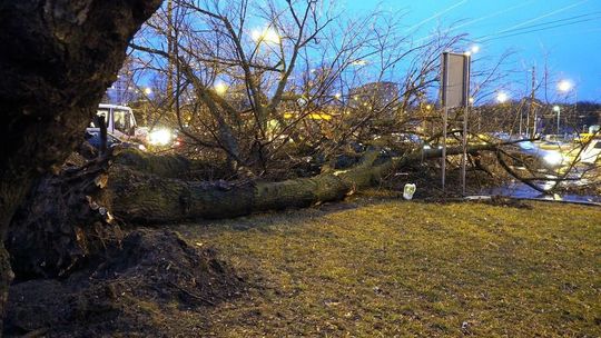IMGW ostrzega przed silnym wiatrem. Może być niebezpiecznie