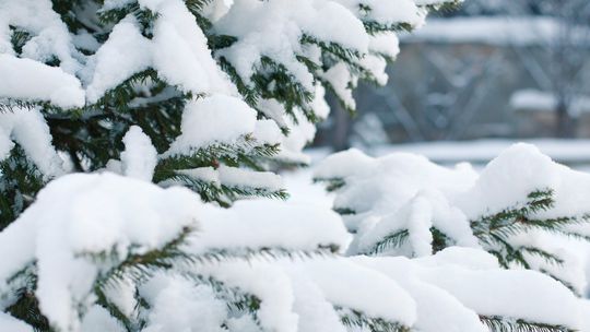 IMGW ostrzega: W nocy może intensywnie padać śnieg
