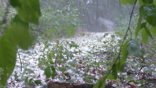 IMGW podnosi stopień ostrzeżeń: w Lubelskiem możliwe trąby powietrzne [aktualizacja]