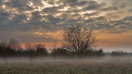 IMGW wskazuje, kiedy spadnie pierwszy śnieg. Podaje datę