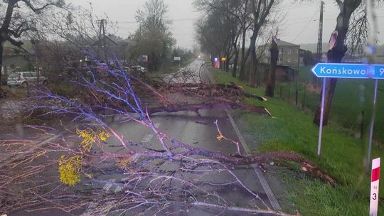 IMGW wydaje alert pogodowy. Czeka nas powtórka z piątku?