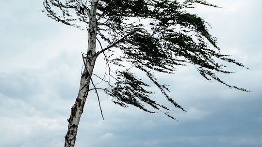 IMGW wydaje ostrzeżenie pogodowe. Może być niebezpiecznie