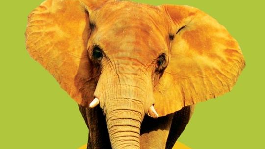 Impreza "aFrykasy" w Wirydarzu Centrum Kultury