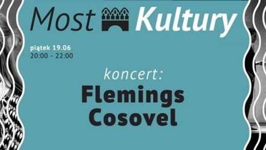 Imprezy w piątek w Lublinie. Flemings i Cosovel na Moście Kultury