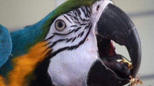 Imprezy w weekend w Lublinie i regionie