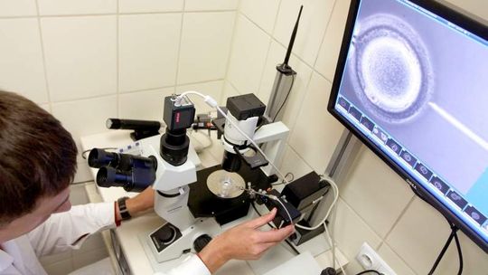 In vitro w Lublinie: Setki par chętnych na zabieg