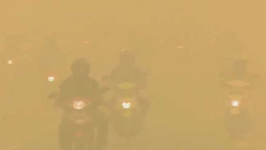 Indonezja: Wypalają lasy pod inwestycje. Dym paraliżuje życie mieszkańców (wideo)