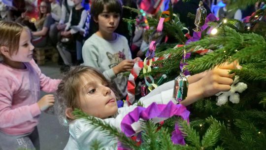 Instrukcja obsługi choinki. Po świętach