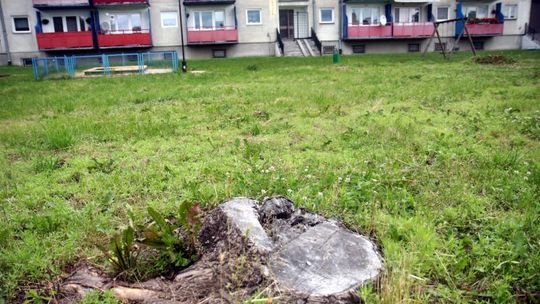 Interes społeczny, czy parafii? Sprawa terenu przy Walecznych wraca do sądu