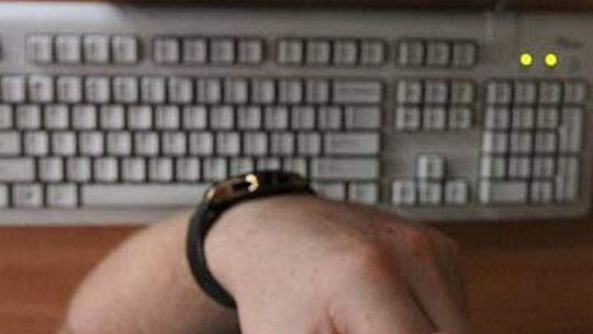 Internetowi włamywacze w Puławach