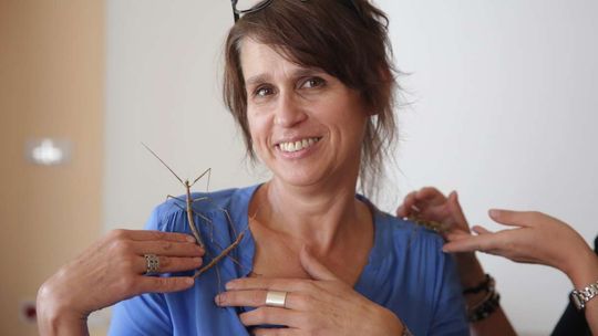 Inwazja korników, modliszek i biedronek. "Zwiększa się liczba owadów, które żywią się ludzką krwią"