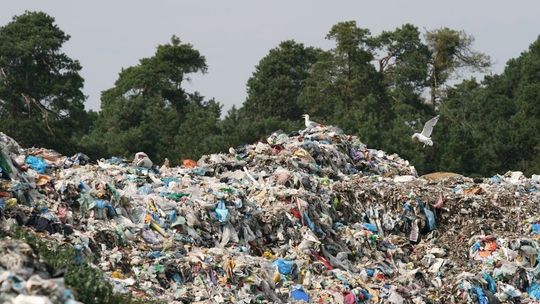 Inwestor przekonuje, że mieszkańcy skorzystają. Ale nikt nie chce spalarni w sąsiedztwie