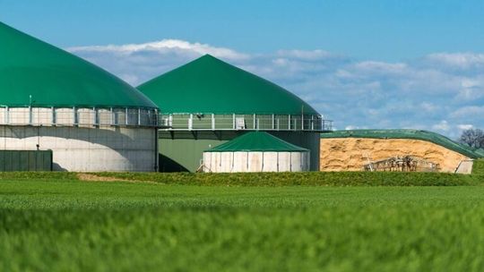 Inwestycje w biogazownie. Potencjał Lubelszczyzny