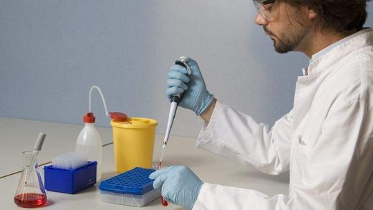 Inżynieria biomedyczna w Lublinie: Hit czy kit?