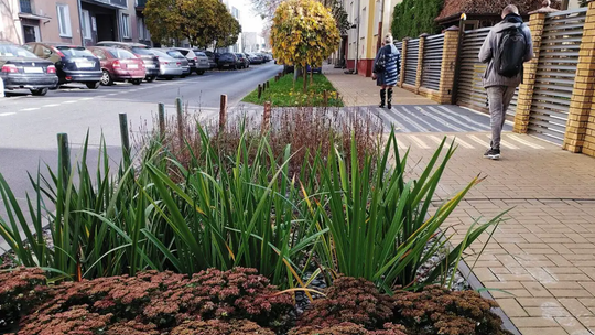 IX edycja Zielonego Budżetu w Lublinie. Miasto stawia na retencję wód opadowych