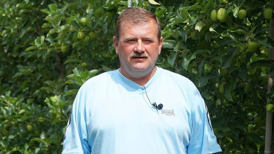 Jabłka, maszyny i dofinansowanie. Inwestycje w sadownictwo