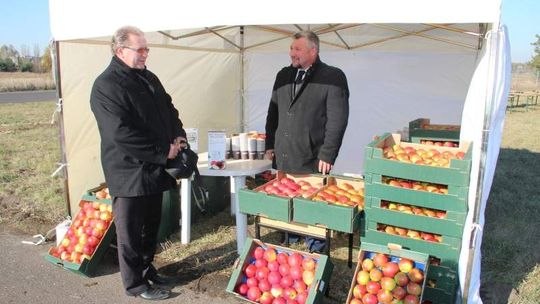 Jabłka na pasie startowym