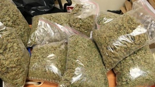 Jabłonna: Schował w piwnicy prawie 4,5 kg marihuany