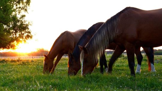 Jak będą wyglądać wakacje w tym roku? Zmieniły się preferowane kierunki podróży