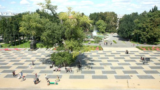 Jak będzie wyglądał plac Litewski?