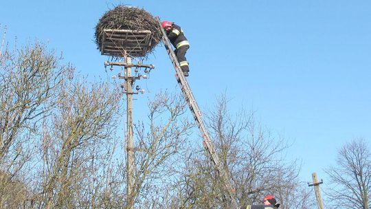 Jak bocian wystrychnął ludzi na dudka 