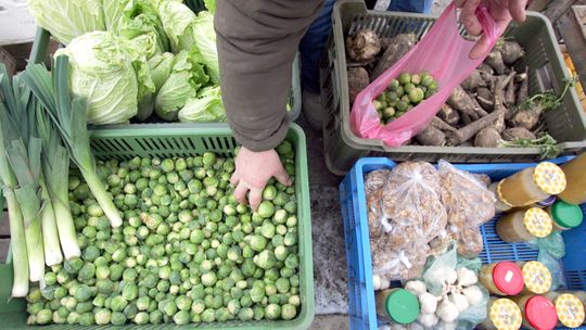 Jak być eko to w grupie