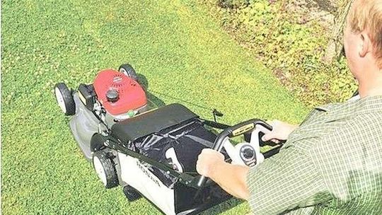 Jak dbać o trawnik na wiosnę? Porady w punktach