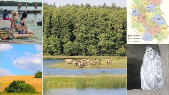 Jak dobrze znasz Lubelskie. Quiz geograficzny