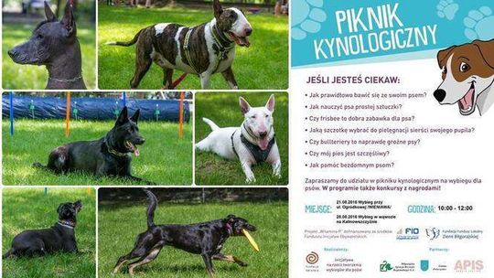 Jak dogadać się z psem? Piknik kynologiczny na wybiegu na Kalinie