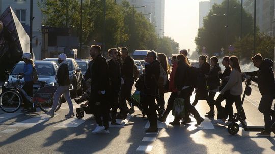 Jak efektywnie interpretować dane z badań opinii?