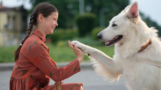 Jak filmowo wkroczyć w Nowy Rok? Poznaj najlepsze noworoczne filmy w CANAL+ online