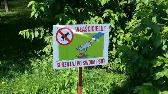Jak miasta walczą z problemem psich odchodów?