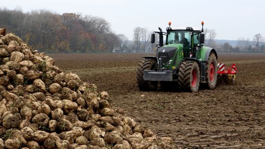 Jak nie susza, to ulewne deszcze. Jesienią rolnikom pogoda także nie sprzyja