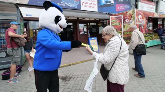 Jak podróżować bezpiecznie? Akcja na dworcu w Lublinie [zdjęcia]