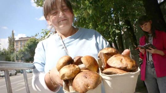 Jak pójść na grzyby i nie trafić do szpitala