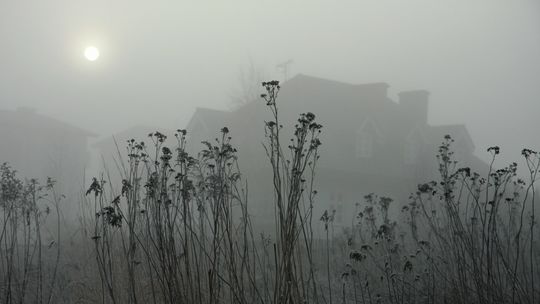 Jak Polska radzi sobie ze smogiem? Najnowszy raport nie pozostawia wątpliwości