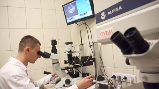 Jak pomóc bocianowi