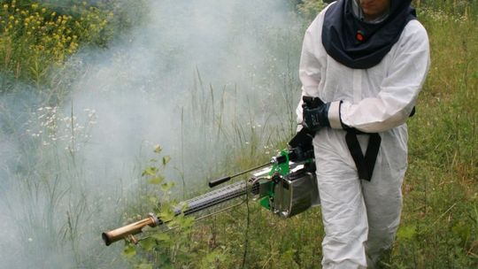 Jak pozbyć się komarów? Będą opryski w Lublinie