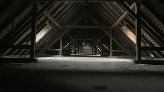 Jak pozbyć się kuny z poddasza? Skuteczne metody, które naprawdę działają!