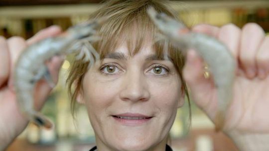 Jak przyrządzać owoce morza. Porady i przepisy