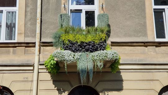 Jak się robi najpiękniejszy balkon w mieście