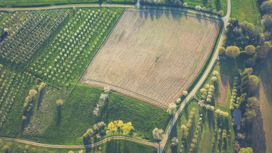 Jak sprawdzić numer działki online?