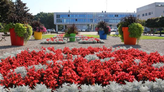 Jak ulepszyć Puławy? Urzędnicy już czekają na pomysły