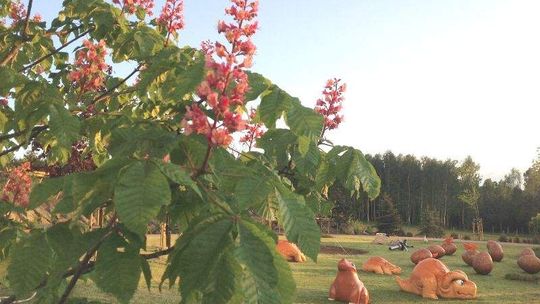 Jak w baśni. 30 maja otwierają 'Magiczne ogrody' koło Janowca