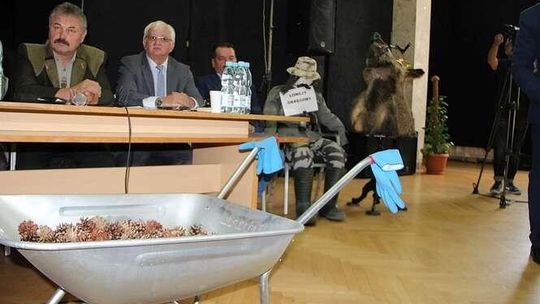 Jak walczyć z ASF? "Wojska Obrony Terytorialnej mogą pomóc w redukcji populacji dzika"