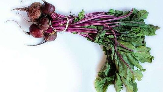 Jak założyć gospodarstwo ekologiczne? Porady specjalisty