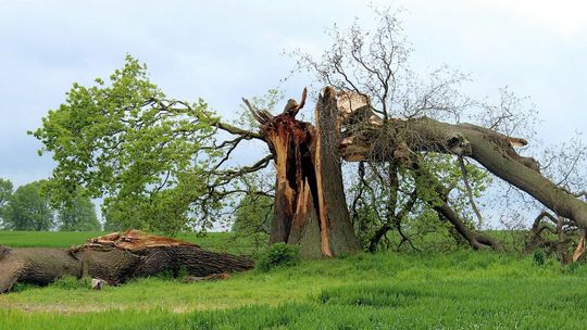 Jak zmienia się klimat w Polsce? 