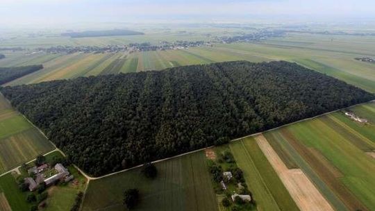 Jak zostać właścicielem gruntu, który kiedyś podarował car? Nie czekaj, uwłaszcz się