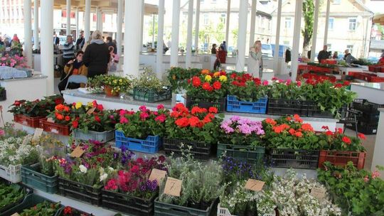 Jak żyć w zdegradowanej części miasta? Mieszkańcy mogą to poprawić 