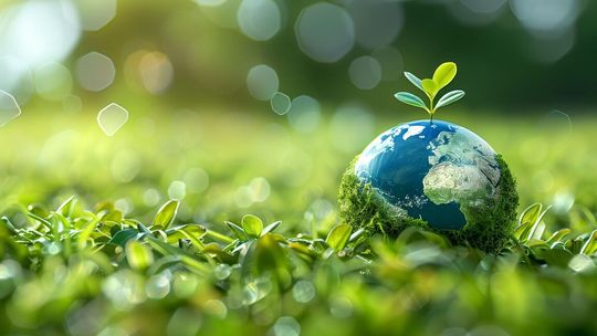 Jakie dokumenty są niezbędne dla firm w 2026 roku?